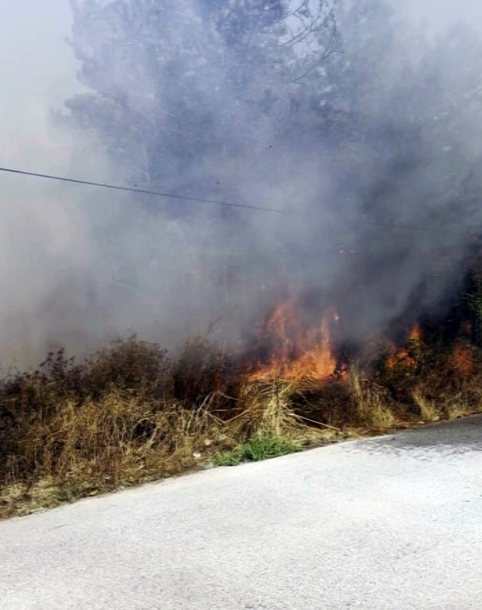 Sakarya’da Yangın Paniği! Halk Seferber Oldu 10