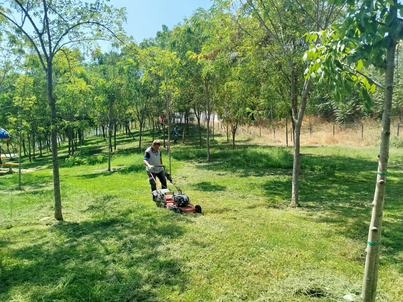 Tatlıkuyu Vadisi Kent Parkı, Büyükşehir’in Bakımıyla Yeniden Canlandı (3)