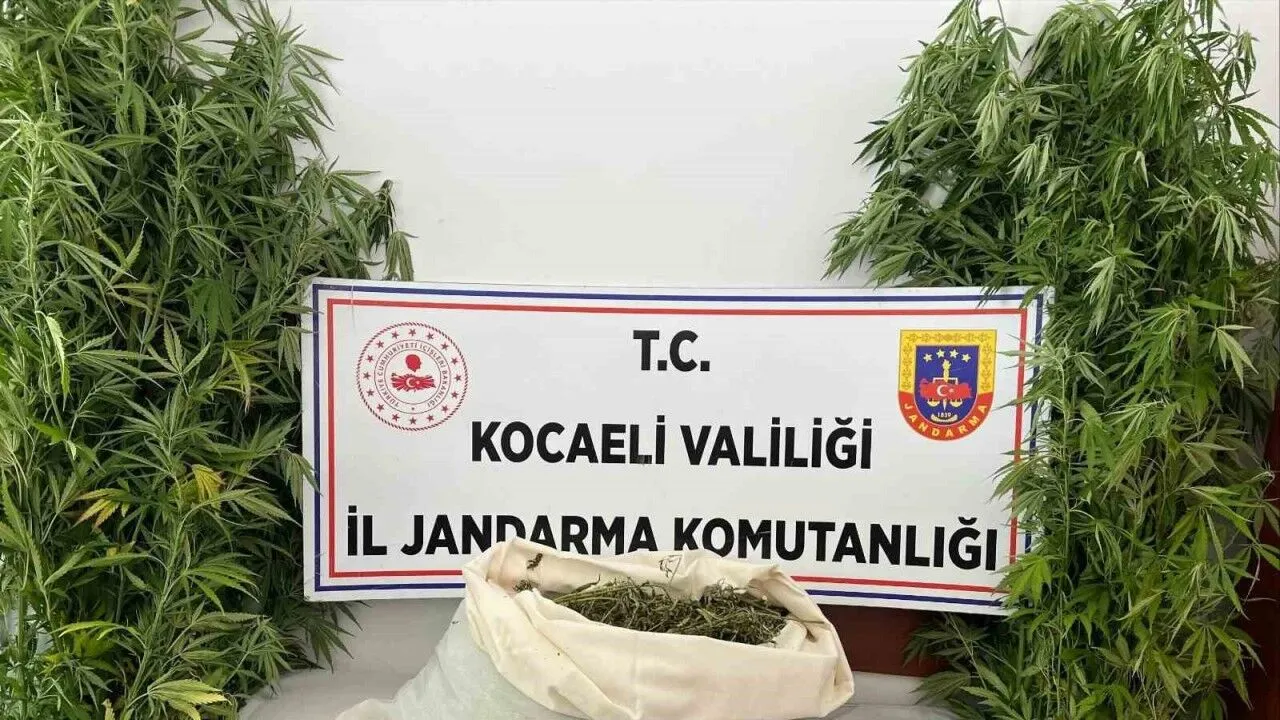 Uyuşturucu Operasyonu-3