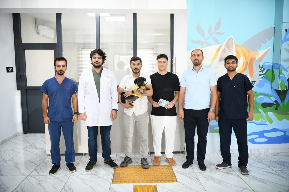 “Zift” Tedavi Edildi, Yeni Yuvasına Yerleştirildi (3)