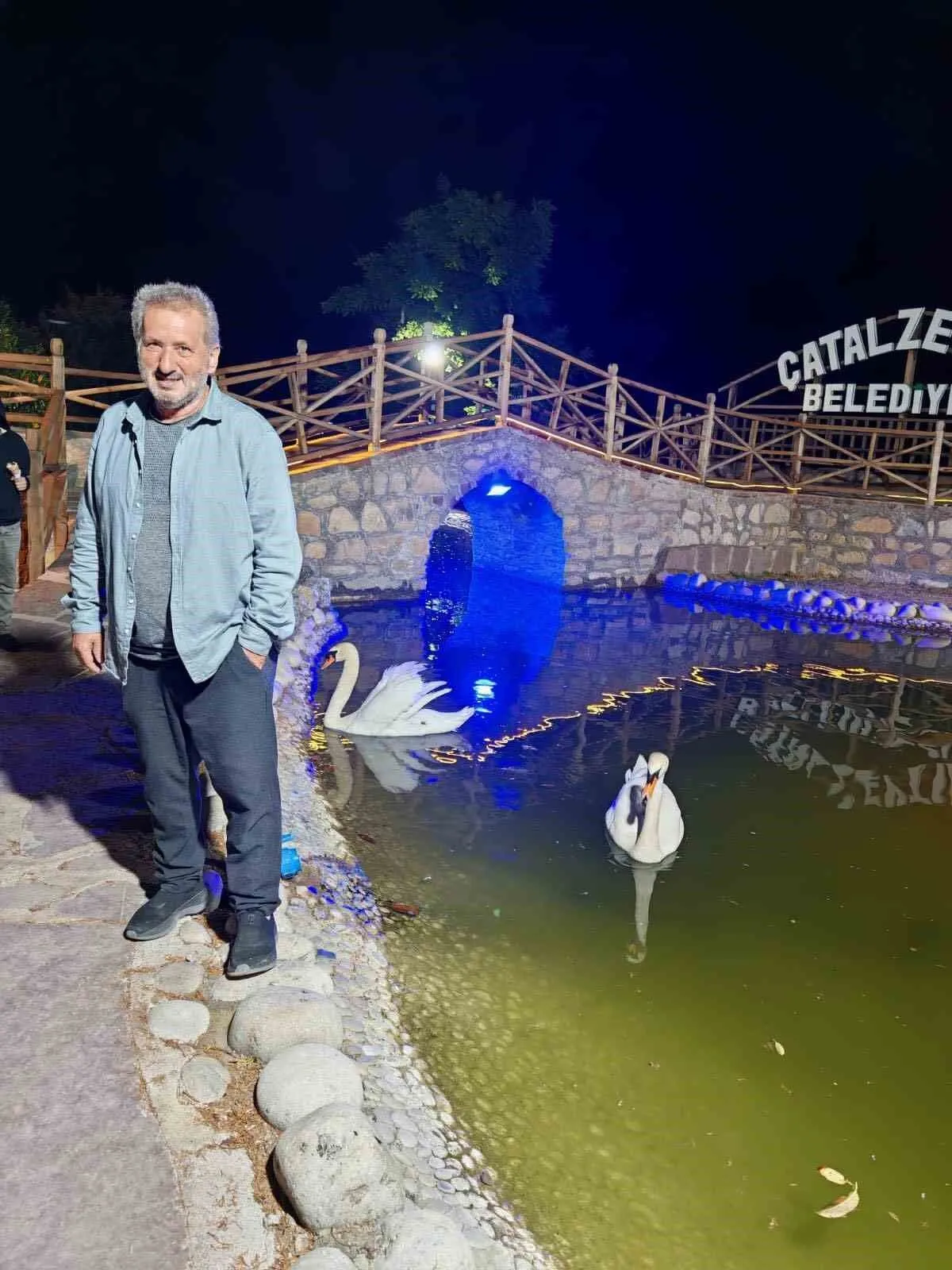 Ağaçtan Düştü Öldü