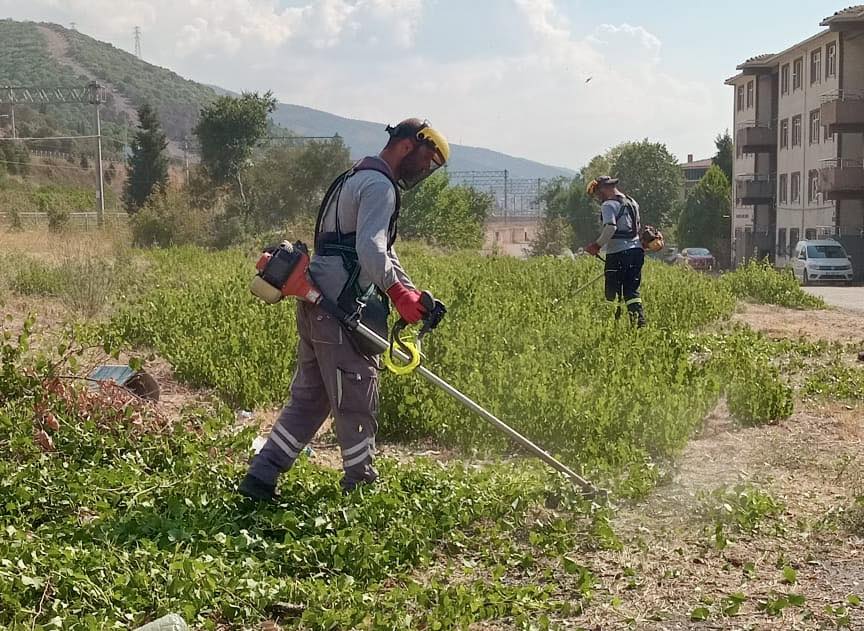 Çi̇m Bi̇çme (1)