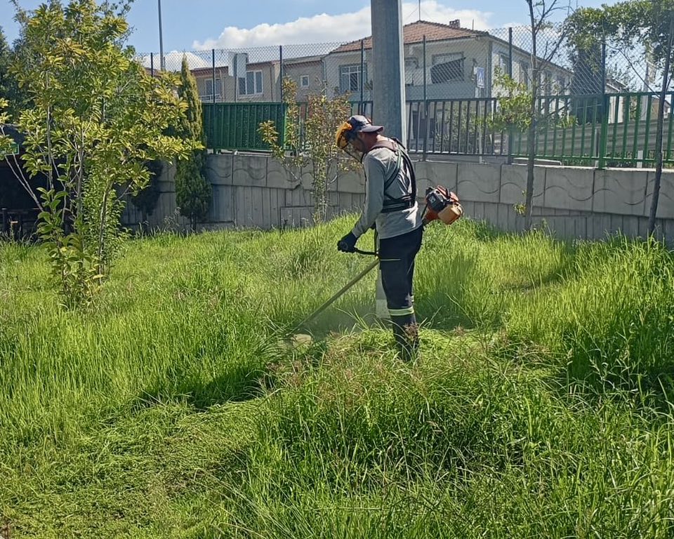 Çi̇m Bi̇çme (2)