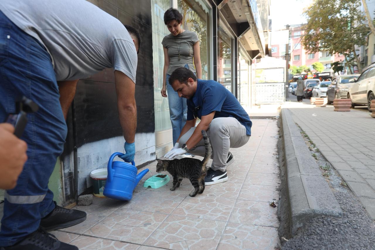 Darıca Belediyesi’nden Can Dostlarımıza Mama Ve Su Desteği (1)
