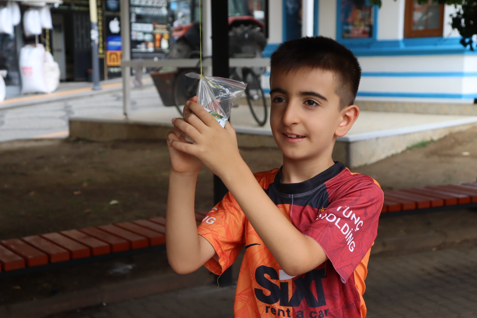 İzmit’te Ağaçlar Pişmaniye Verdi! 4