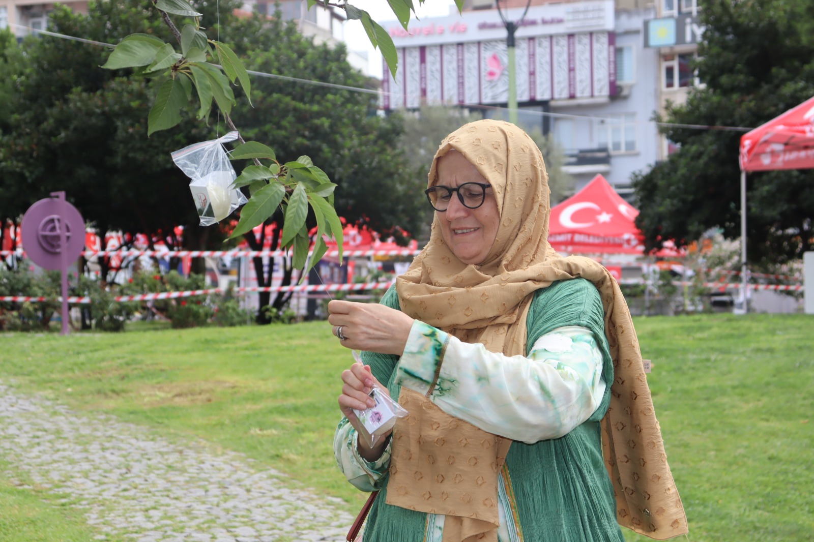 İzmit’te Ağaçlar Pişmaniye Verdi! 8