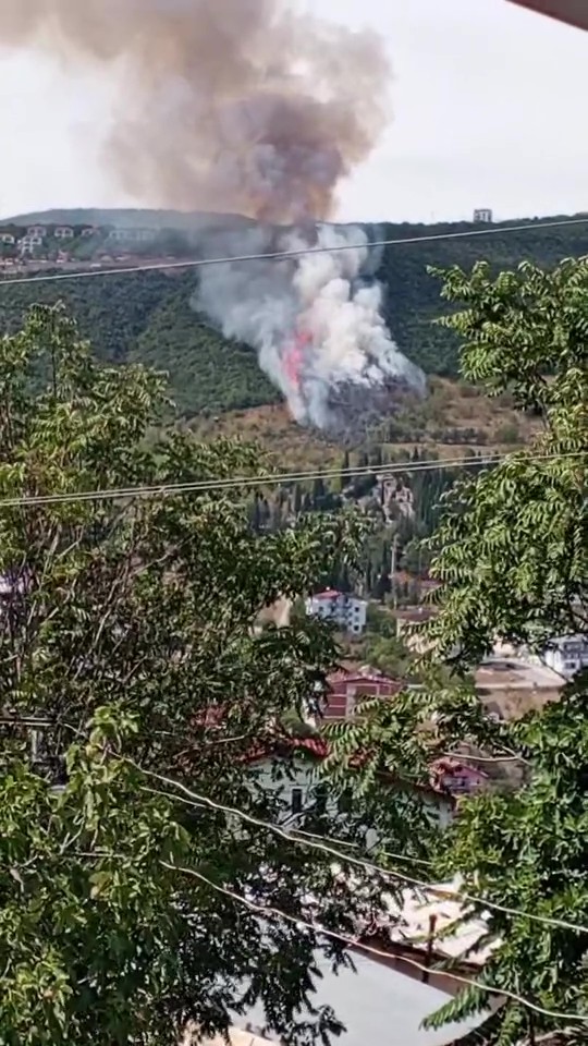 İzmit’te Ormanlık Alanda Yangın Çıktı! 02