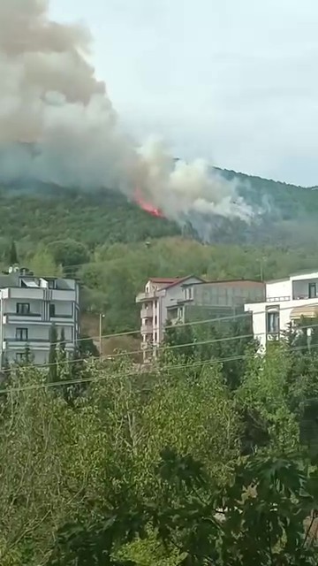 İzmit’te Ormanlık Alanda Yangın Çıktı! 03