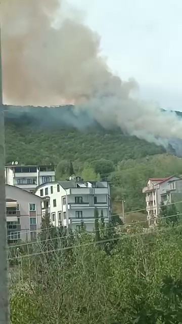 İzmit’te Ormanlık Alanda Yangın Çıktı! 04