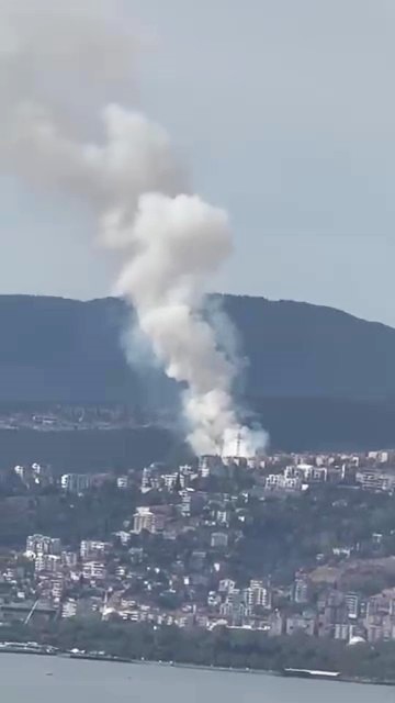İzmit’te Ormanlık Alanda Yangın Çıktı! 05
