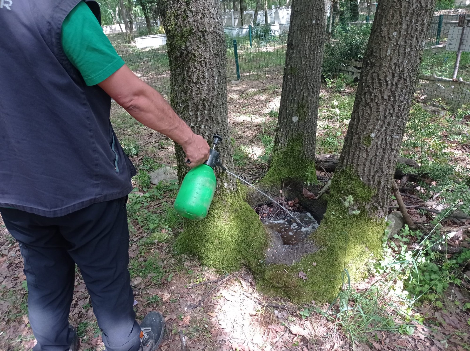 Kocaeli'de Dört Mevsim Sivrisineğe Geçit Yok (3)
