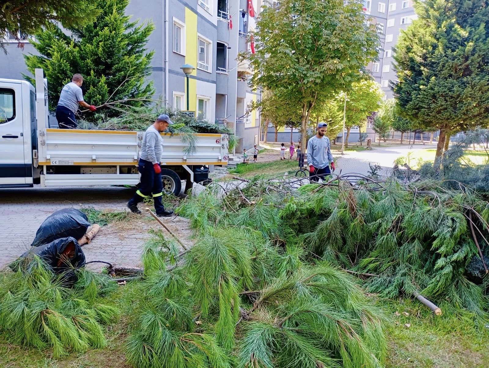 Körfez’de Park Ve Yeşil Alanlarda Bakım Çalışmaları Sürüyor (2)