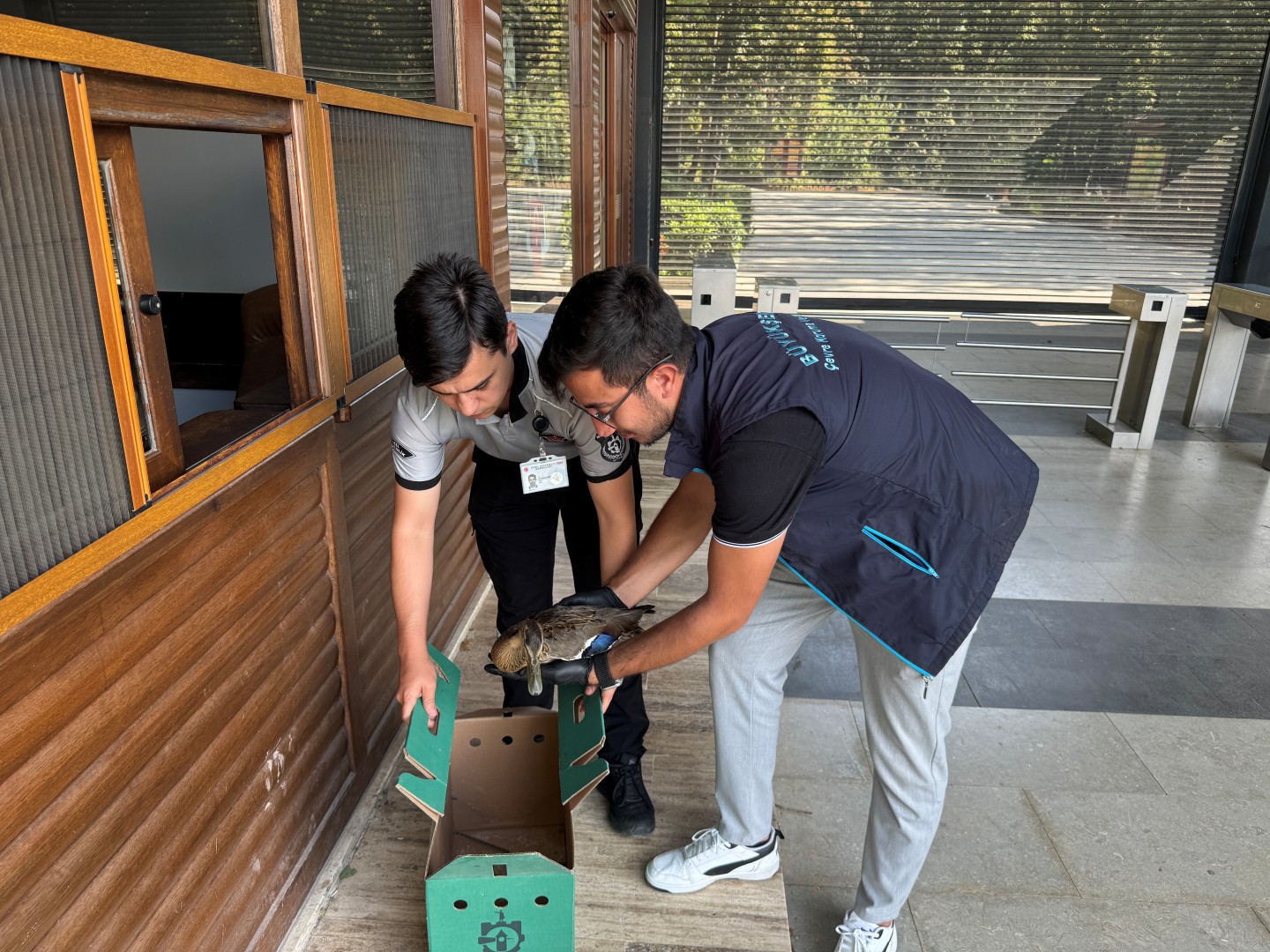 Kumla Deresi’nde Bitkin Ördek Kurtarıldı (4)