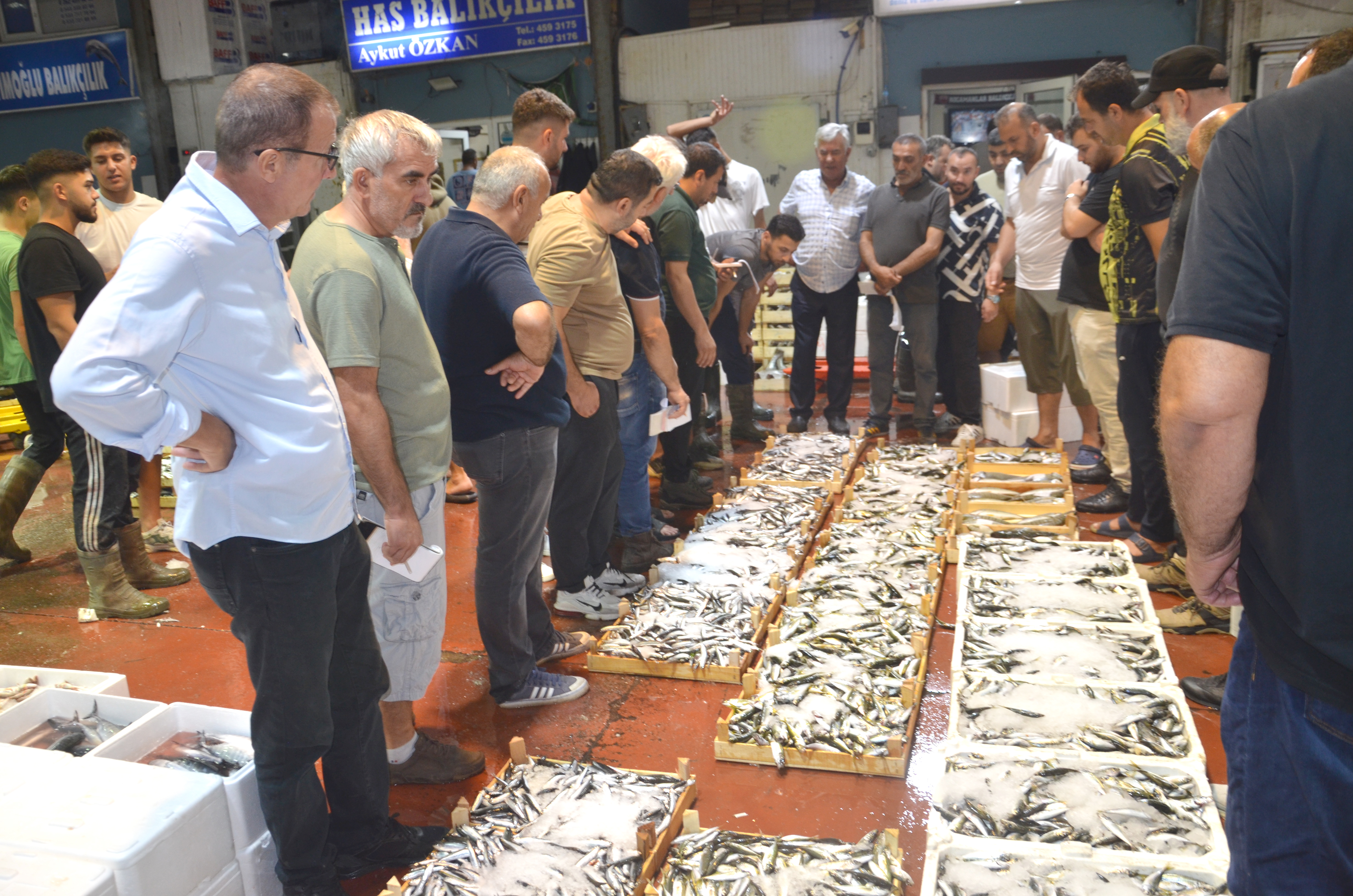 Sezonun İlk Balık Fiyatları Belli Oldu! 2