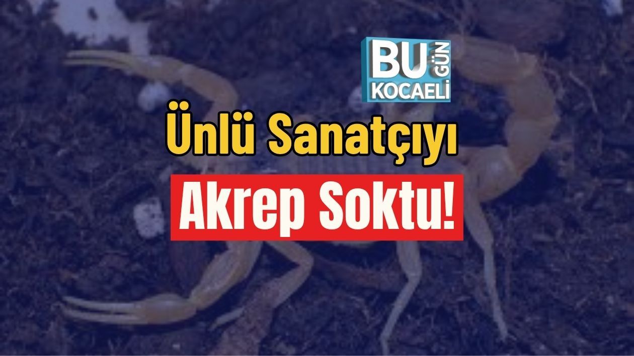 Ünlü Sanatçıyı Akrep Soktu! - | Bugün Kocaeli Gazetesi