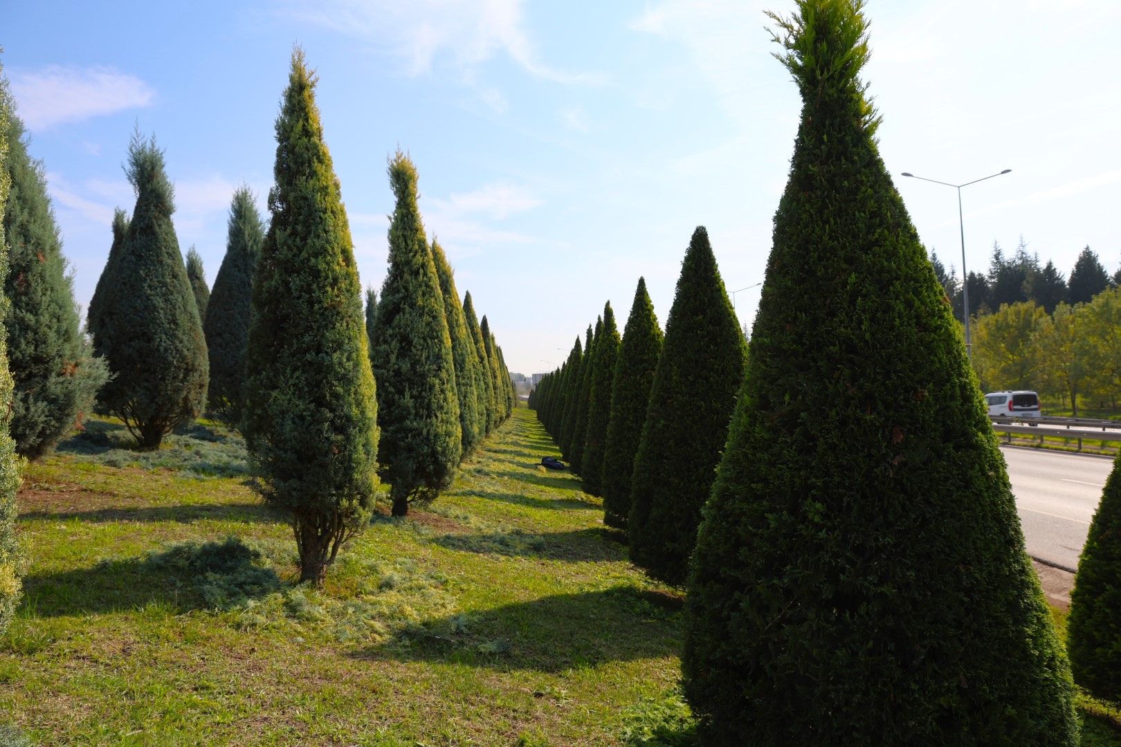 Büyükşehir’den Yeşil Alanlara Özenli Bakım (2)