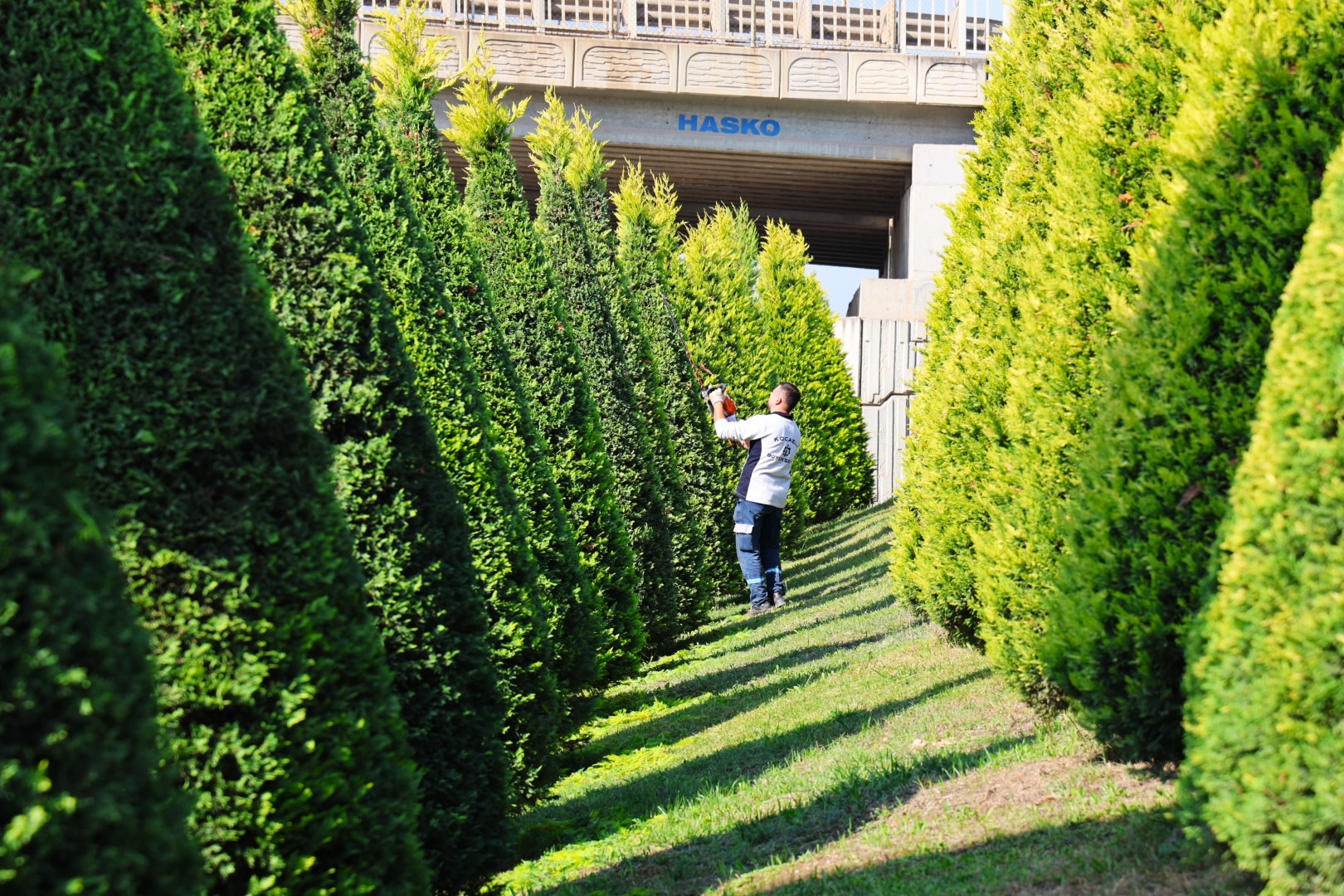 Büyükşehir’den Yeşil Alanlara Özenli Bakım (6)