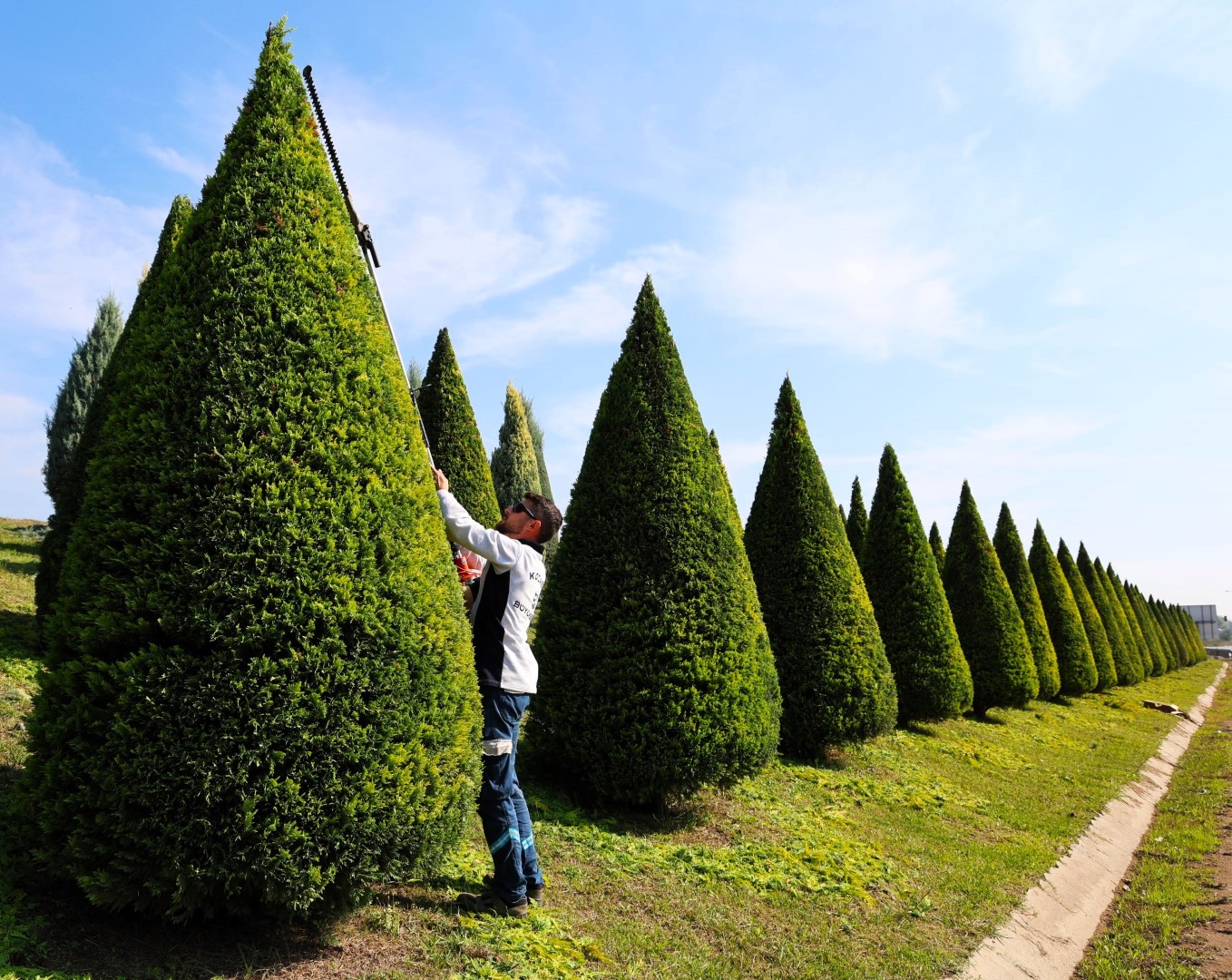 Büyükşehir’den Yeşil Alanlara Özenli Bakım (7)
