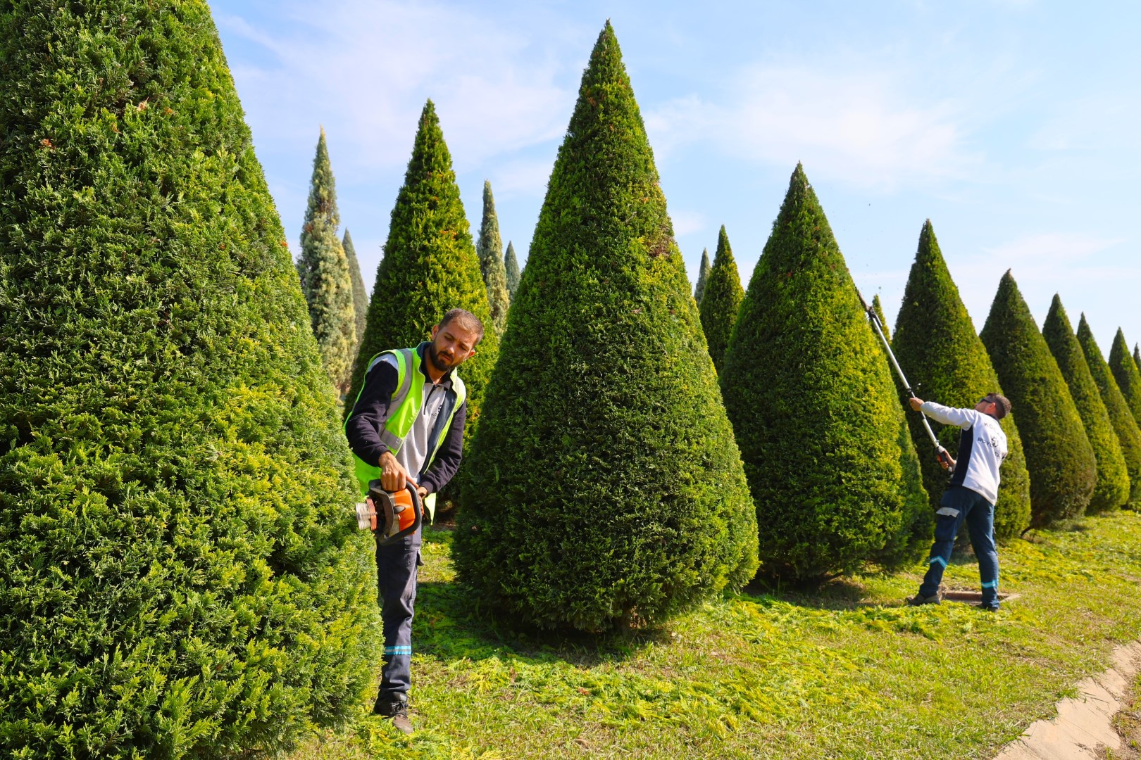 Büyükşehir’den Yeşil Alanlara Özenli Bakım (8)