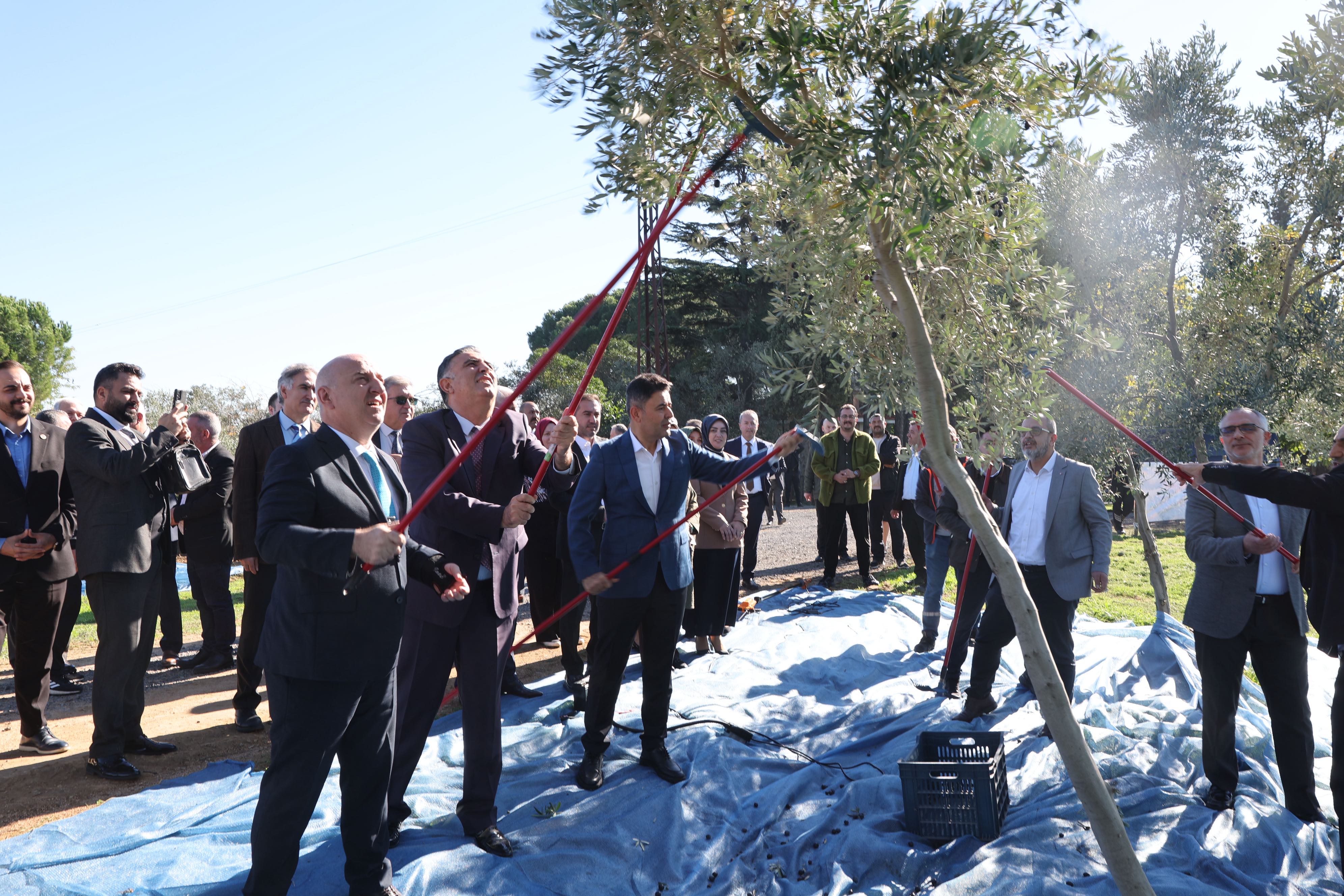 Darıca Belediyesi’nden Doğaya Ve Üretime Değer Katan Proje (1)