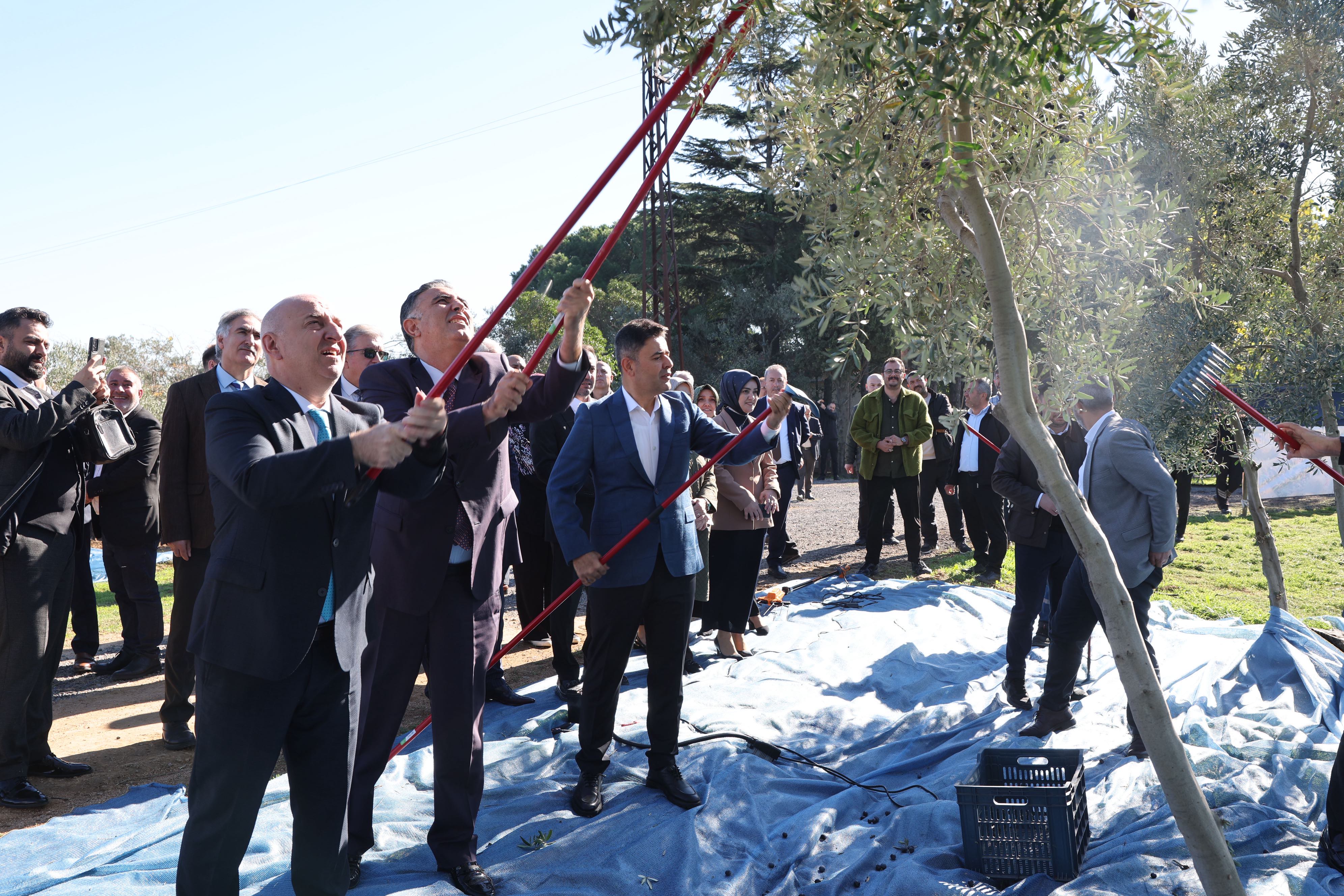 Darıca Belediyesi’nden Doğaya Ve Üretime Değer Katan Proje (2)