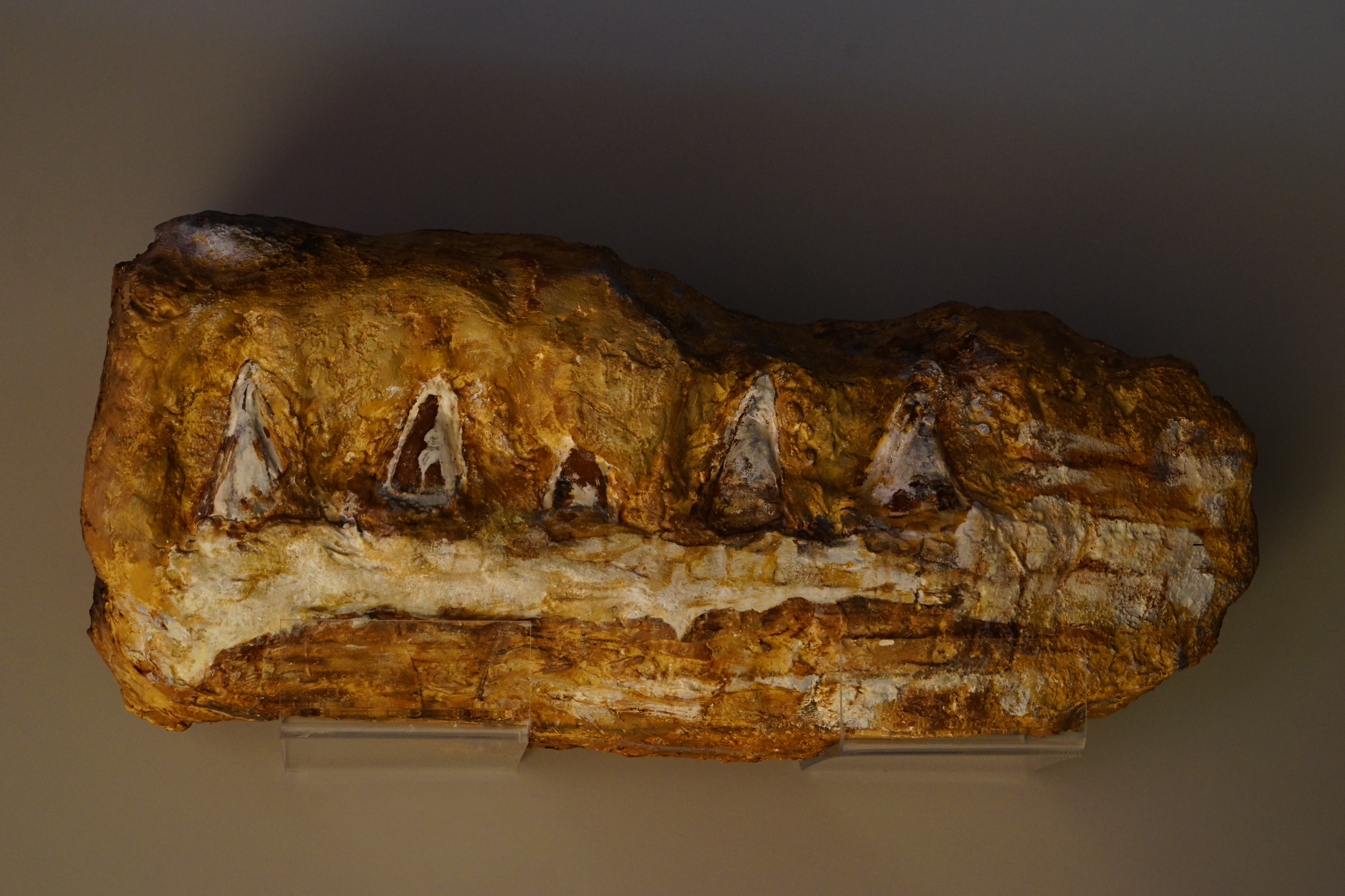 Fosilinin Hikayesi Anlatıldı (6)