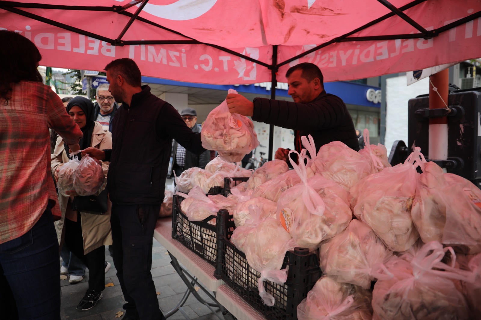 İzmit Belediyesi'nden Ücretsiz İstiridye Mantarı! 1