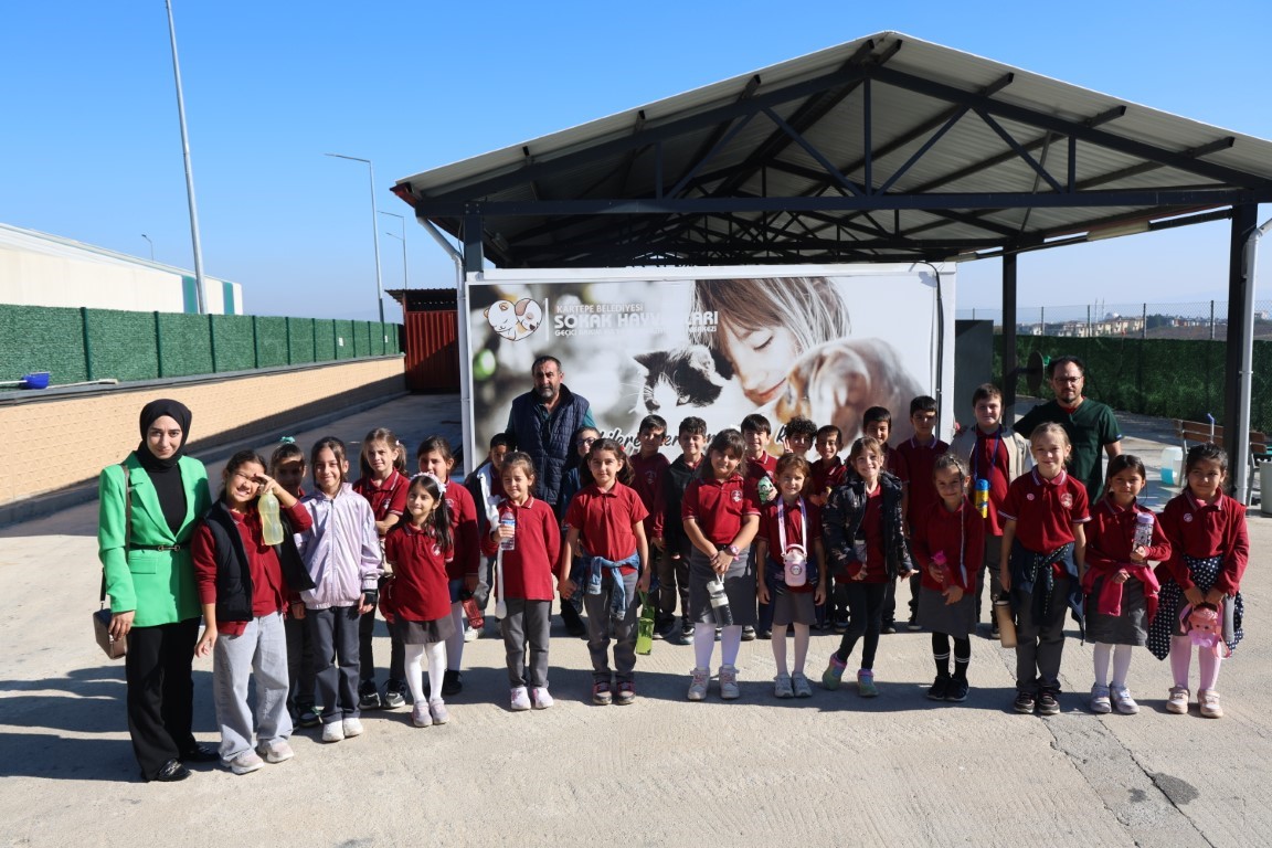 Kartepe’de Öğrenciler Sokak Hayvanlarıyla Buluştu 1