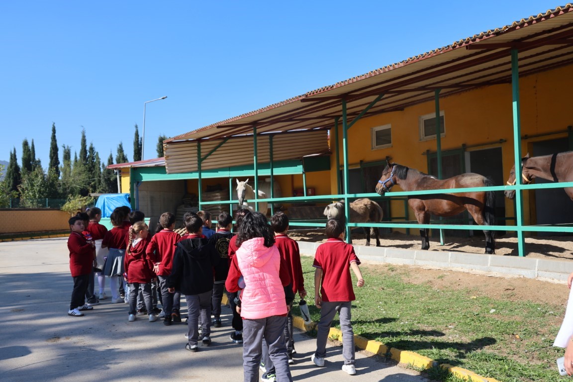 Kartepe’de Öğrenciler Sokak Hayvanlarıyla Buluştu 3