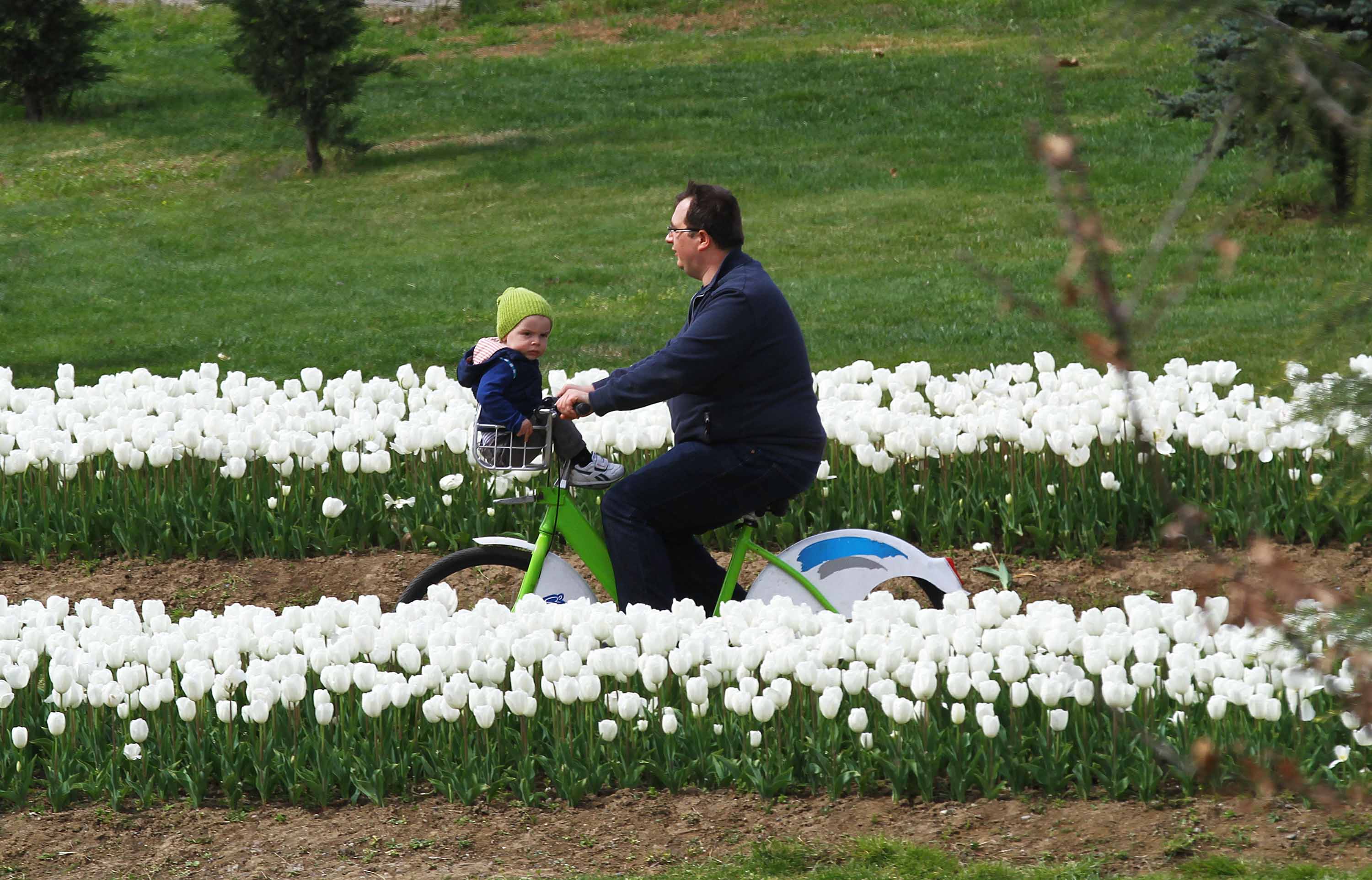 Kobi̇s Ile 179 Bin Vatandaş Yazın Tadını Çıkardı (10)