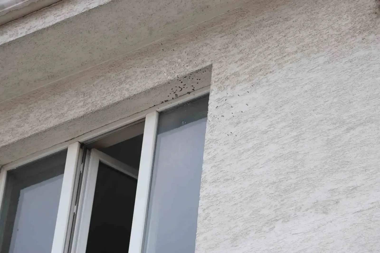 Küstüğü Eşinin Dairesine Tüfekle Daireye Ateş Açtı (1)