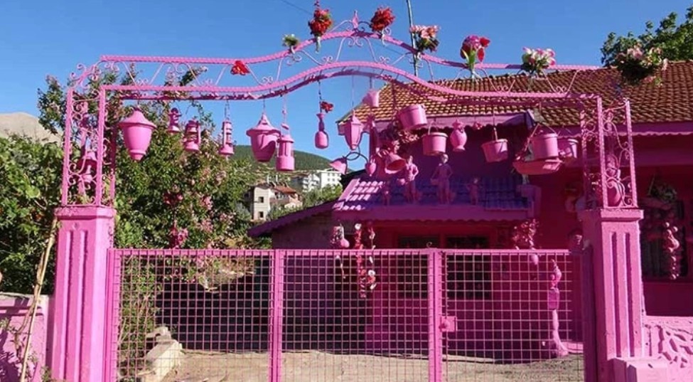 Akülü Aracını Pembeye Boyamak İstiyor (1)