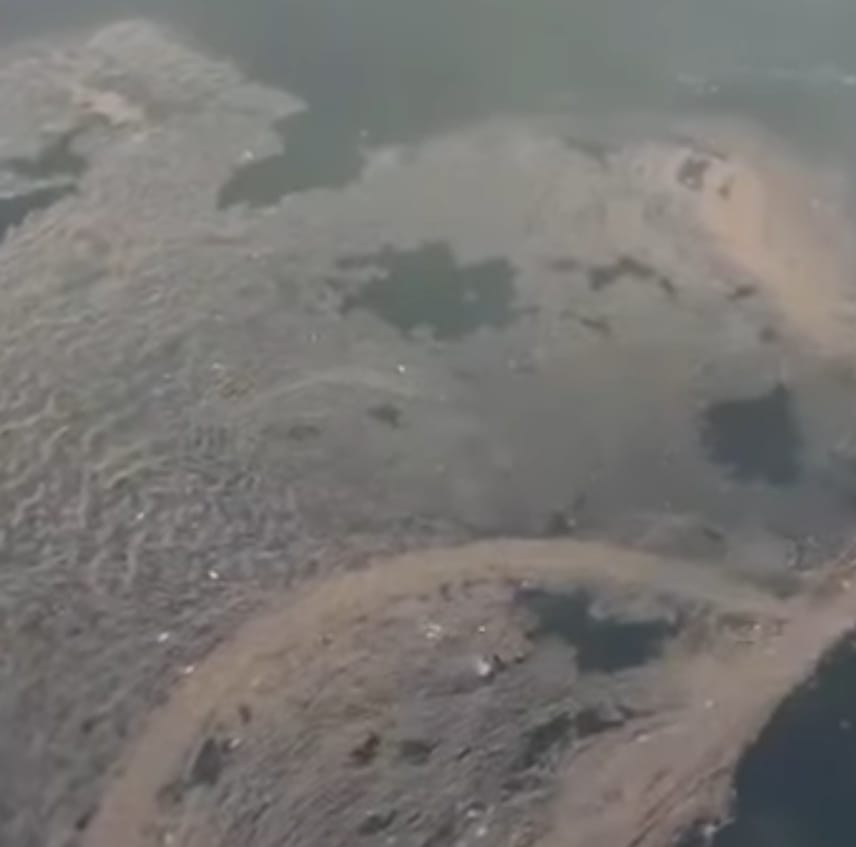 Başiskele Sahilinde Endişelendiren Manzara (1)-1