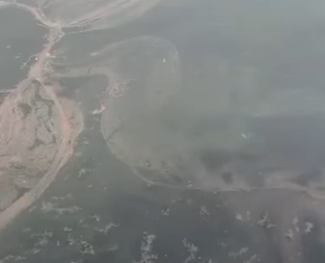 Başiskele Sahilinde Endişelendiren Manzara (2)