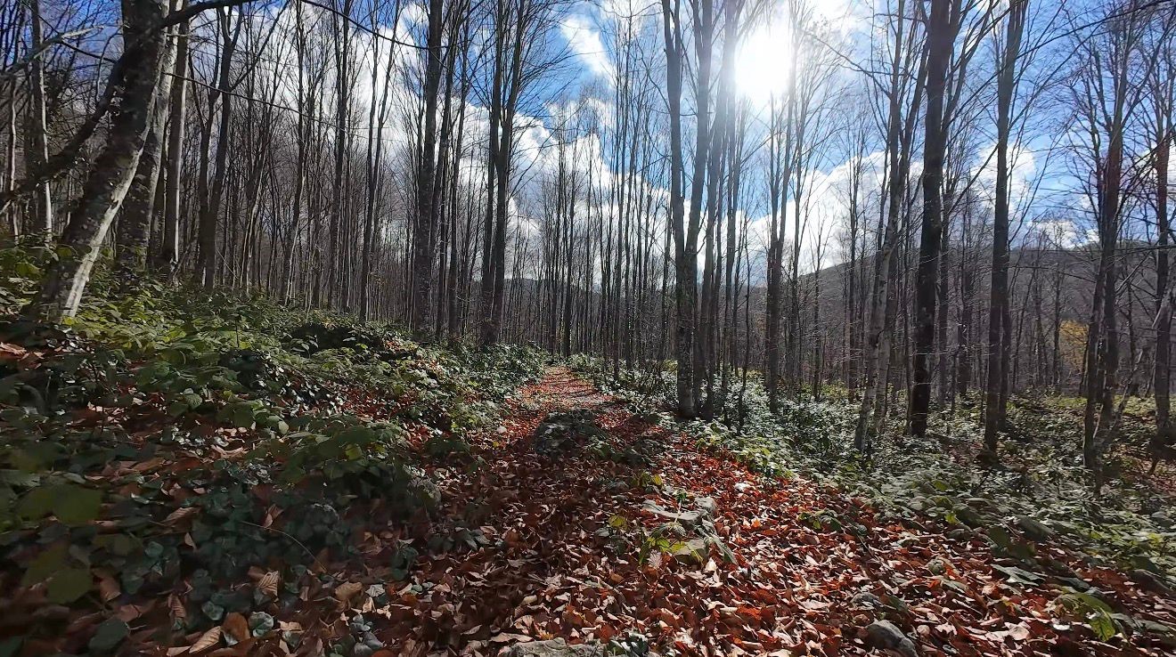 Başiskele’de Sonbahar Büyüledi Samanlı Dağları Renk Cümbüşüne Büründü (2)