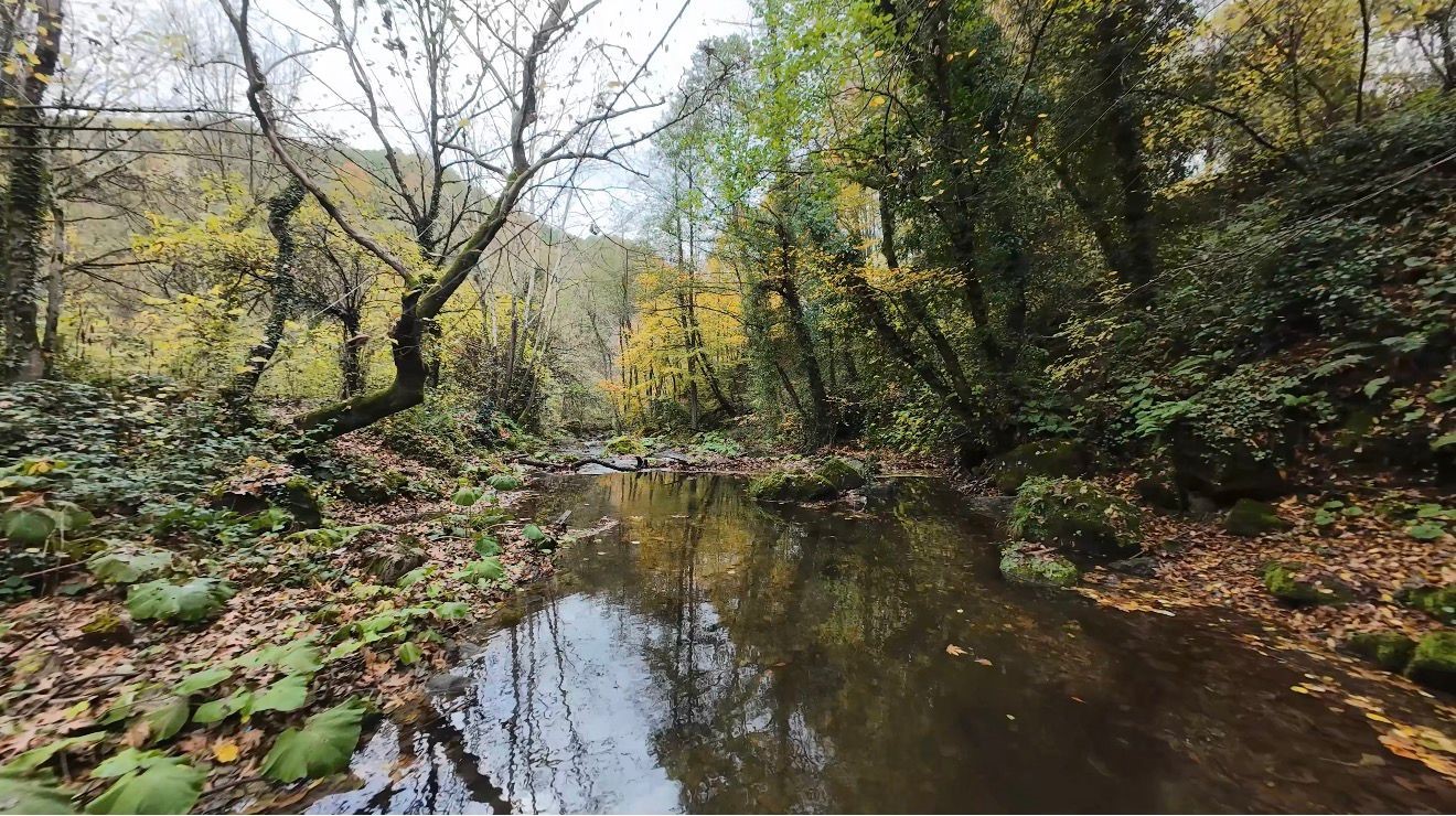 Başiskele’de Sonbahar Büyüledi Samanlı Dağları Renk Cümbüşüne Büründü (3)