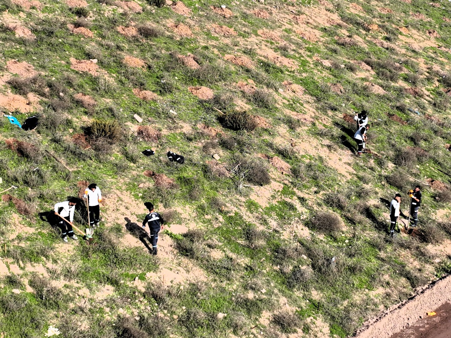 Büyükşehir'in Dokunuşlarıyla Kocaeli Yeşile Doyuyor (1) (Büyük)