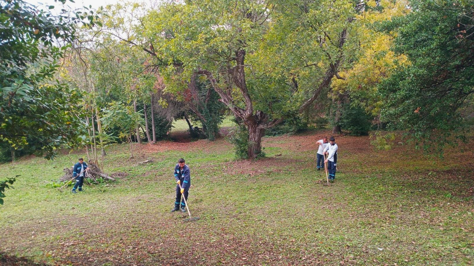 Darıca Millet Bahçesi'nde Temizlik Seferberliği (6)
