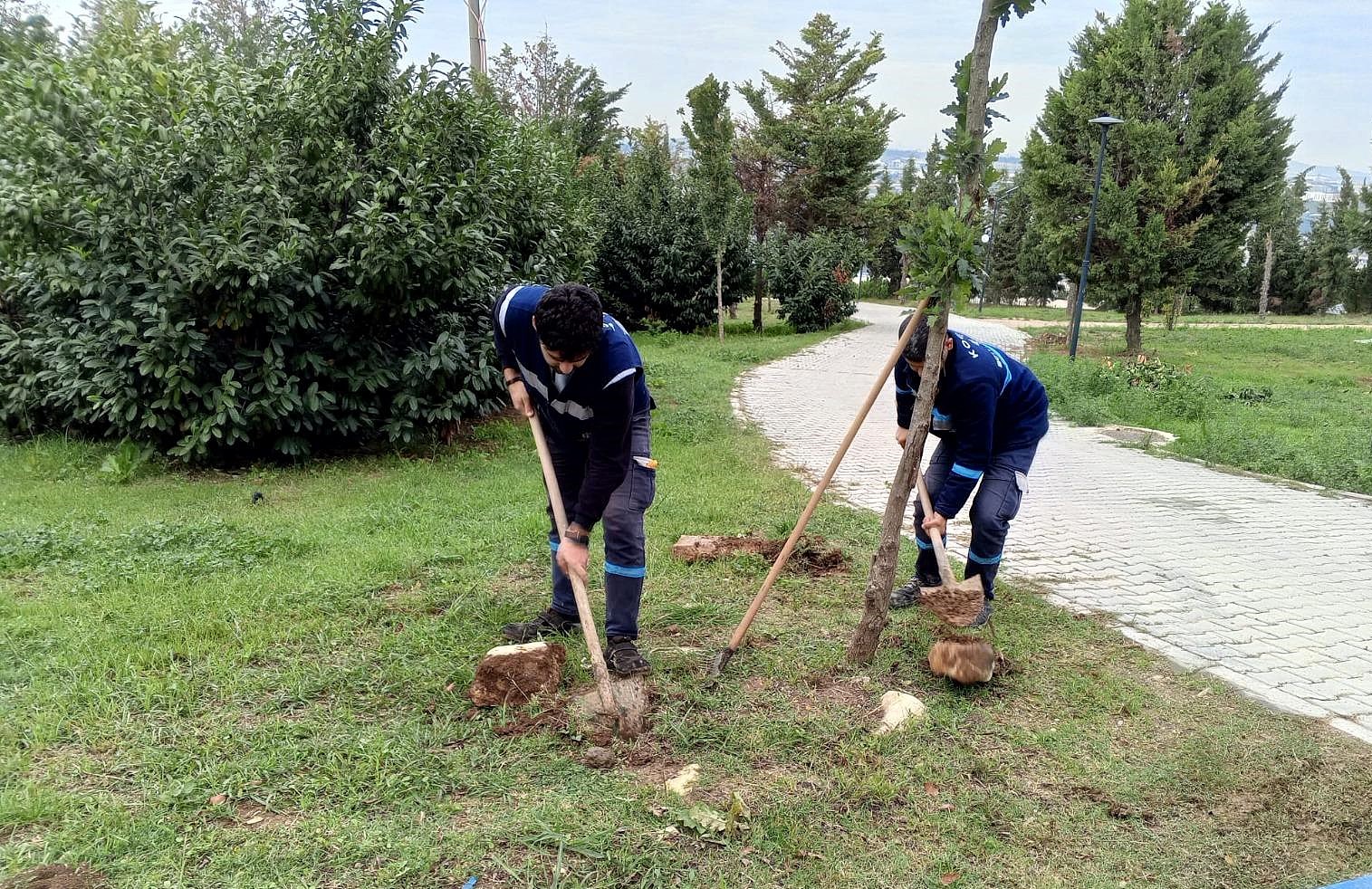 Dilovası Millet Bahçesi Dip Köşe Temizleniyor (4)