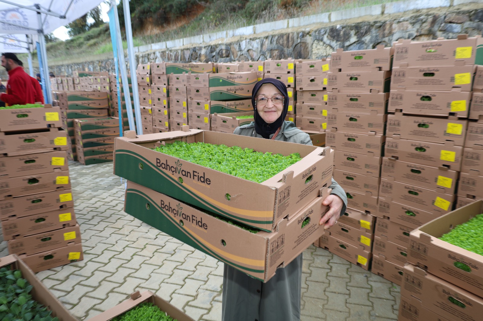 Gebzeli Çiftçiye 500 Bin Sebze Fidesi (4) 1