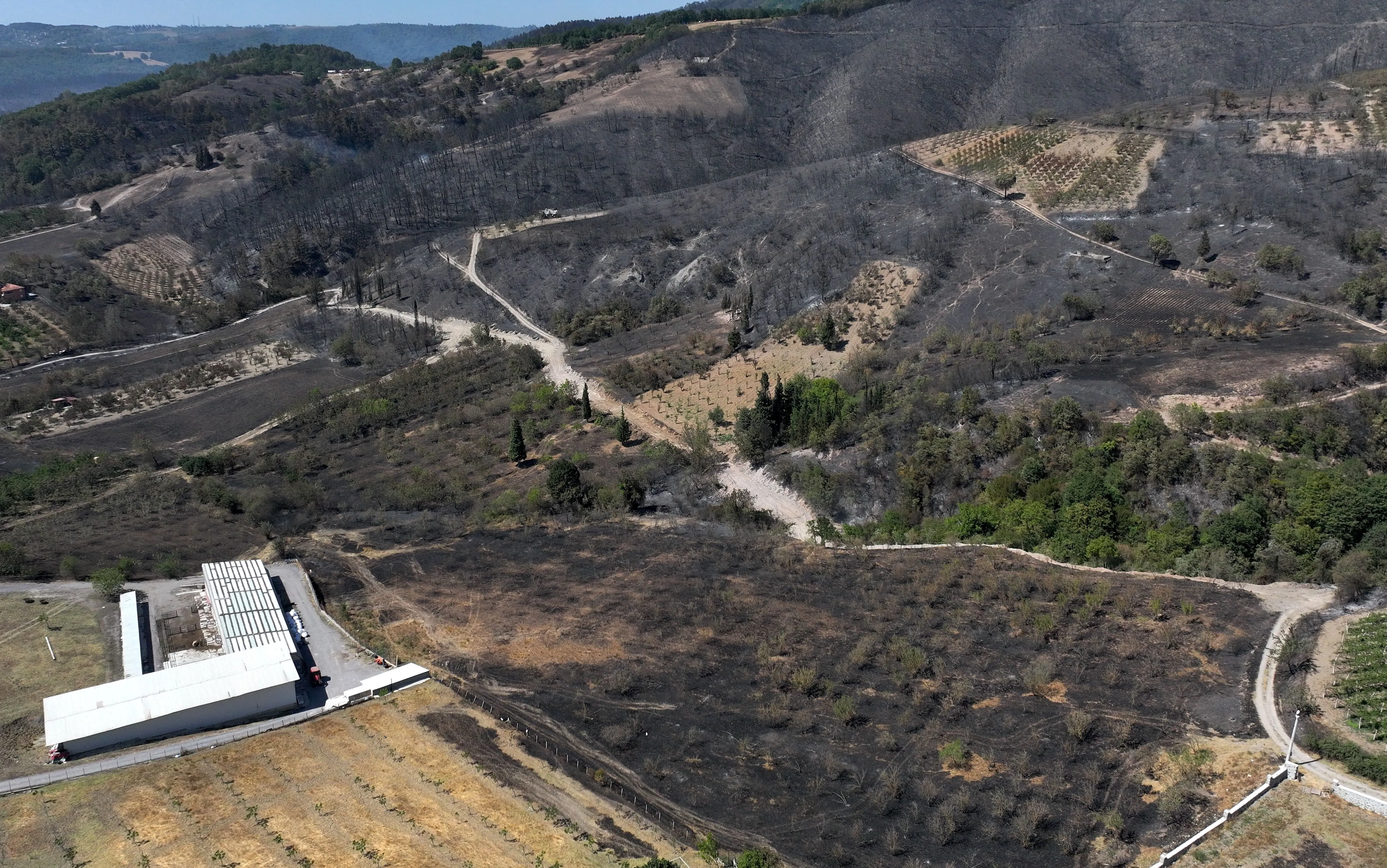 Karamürsel Orman Yangını