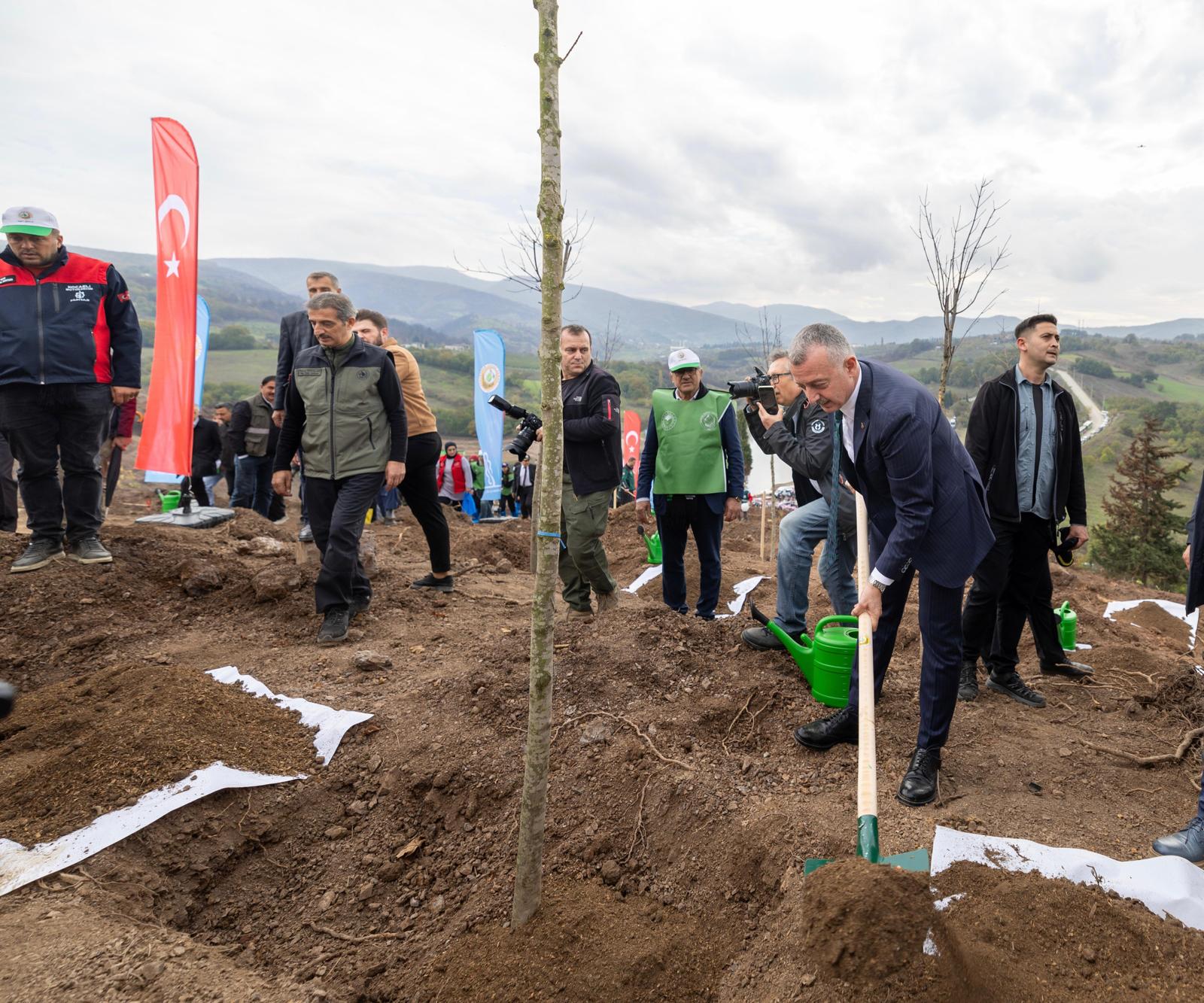 Karamürsel'de Yanan Bölge 3 Bin Fidanla Yeniden Yeşerecek (1)
