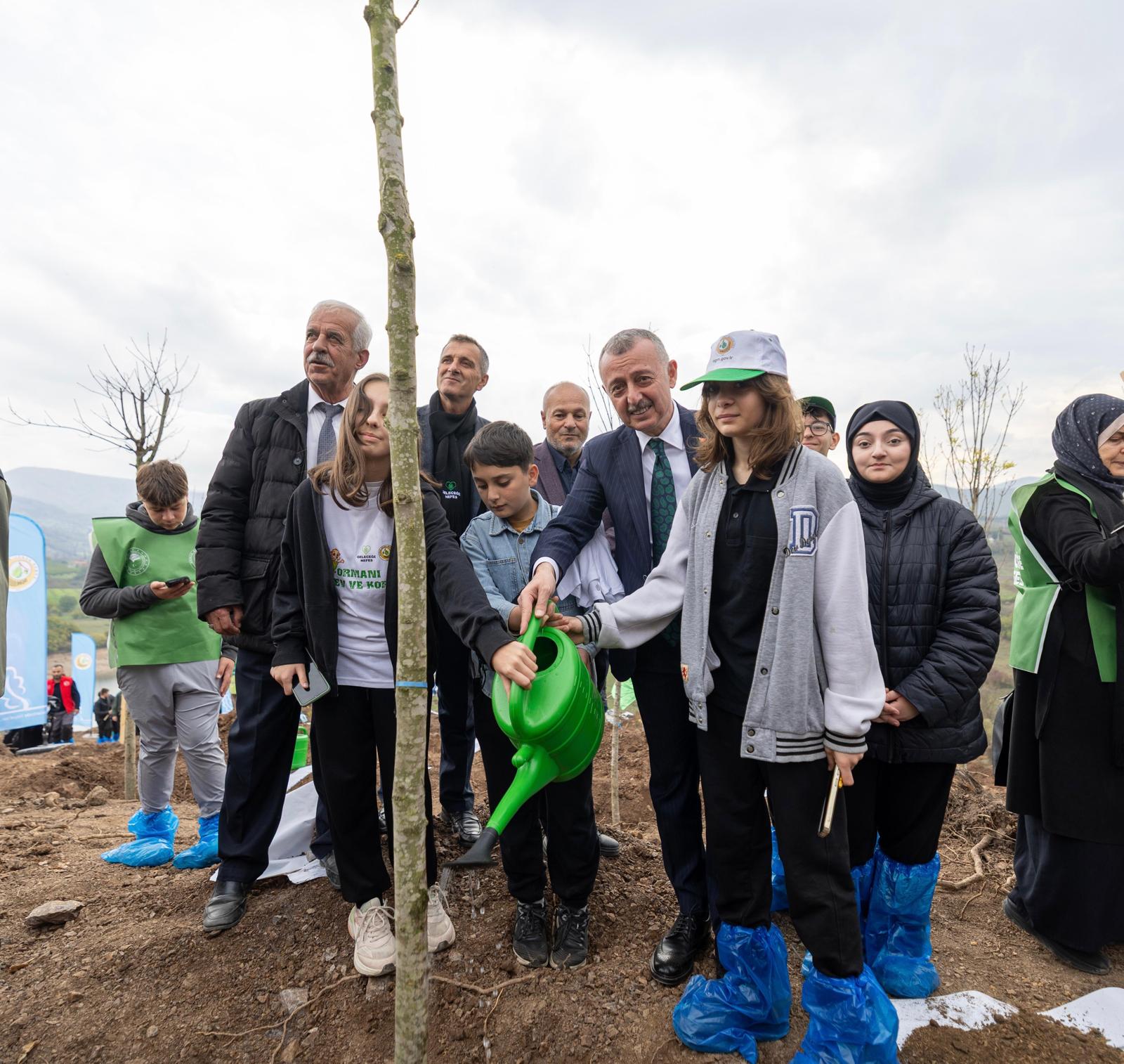 Karamürsel'de Yanan Bölge 3 Bin Fidanla Yeniden Yeşerecek (9)