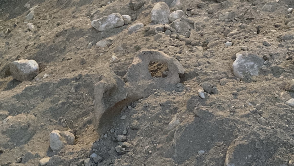 Kazı Çalışmasında İnsan Kemikleri Bulundu (1)