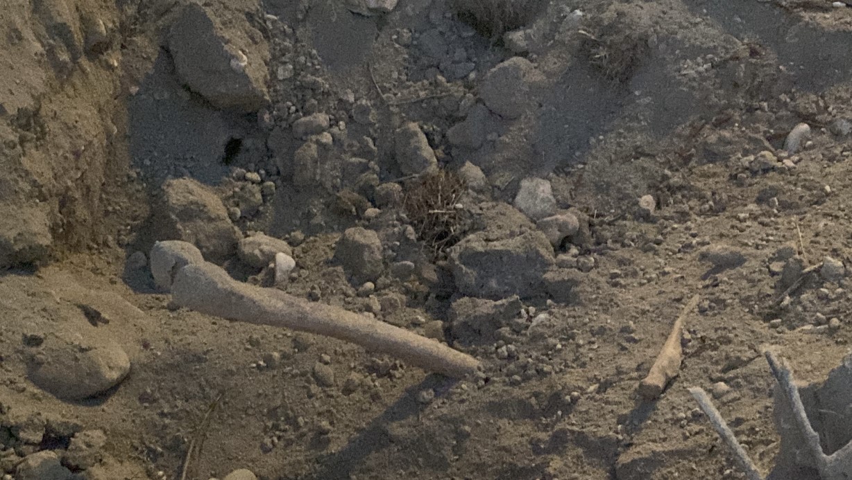 Kazı Çalışmasında İnsan Kemikleri Bulundu (3)