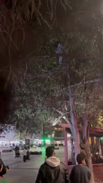 Kocaeli Gölcük’te Top Peşinde Ağaca Çıkan Çocuk, Inemeyince Itfaiye Ekipleri Devreye Girdi. Neyse Ki Olayda Yaralanan Olmadı. 01