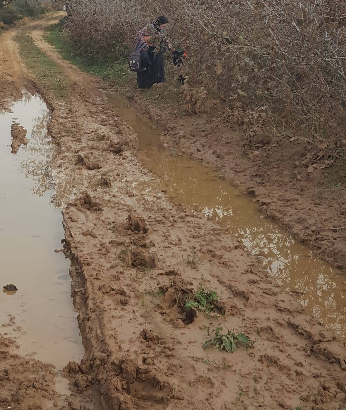 Kocaeli'de 1,5 Yıldır Çözülmeyen Sorun Halkı İsyan Ettirdi! 2
