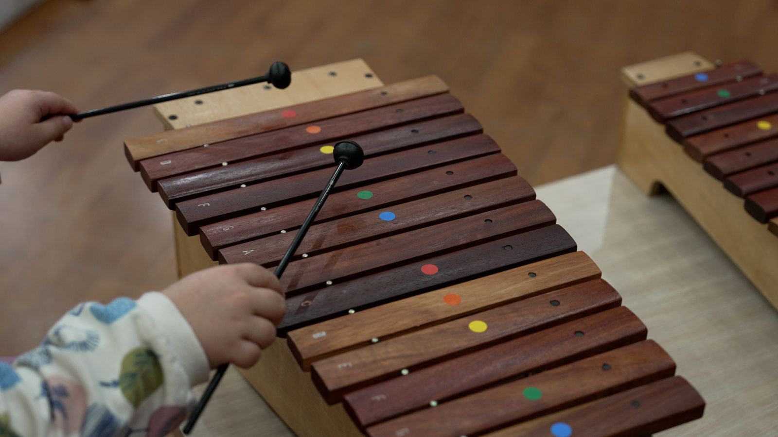 Kocaeli’de Konservatuvar Seçmeleri Yoğun İlgi Gördü (1)