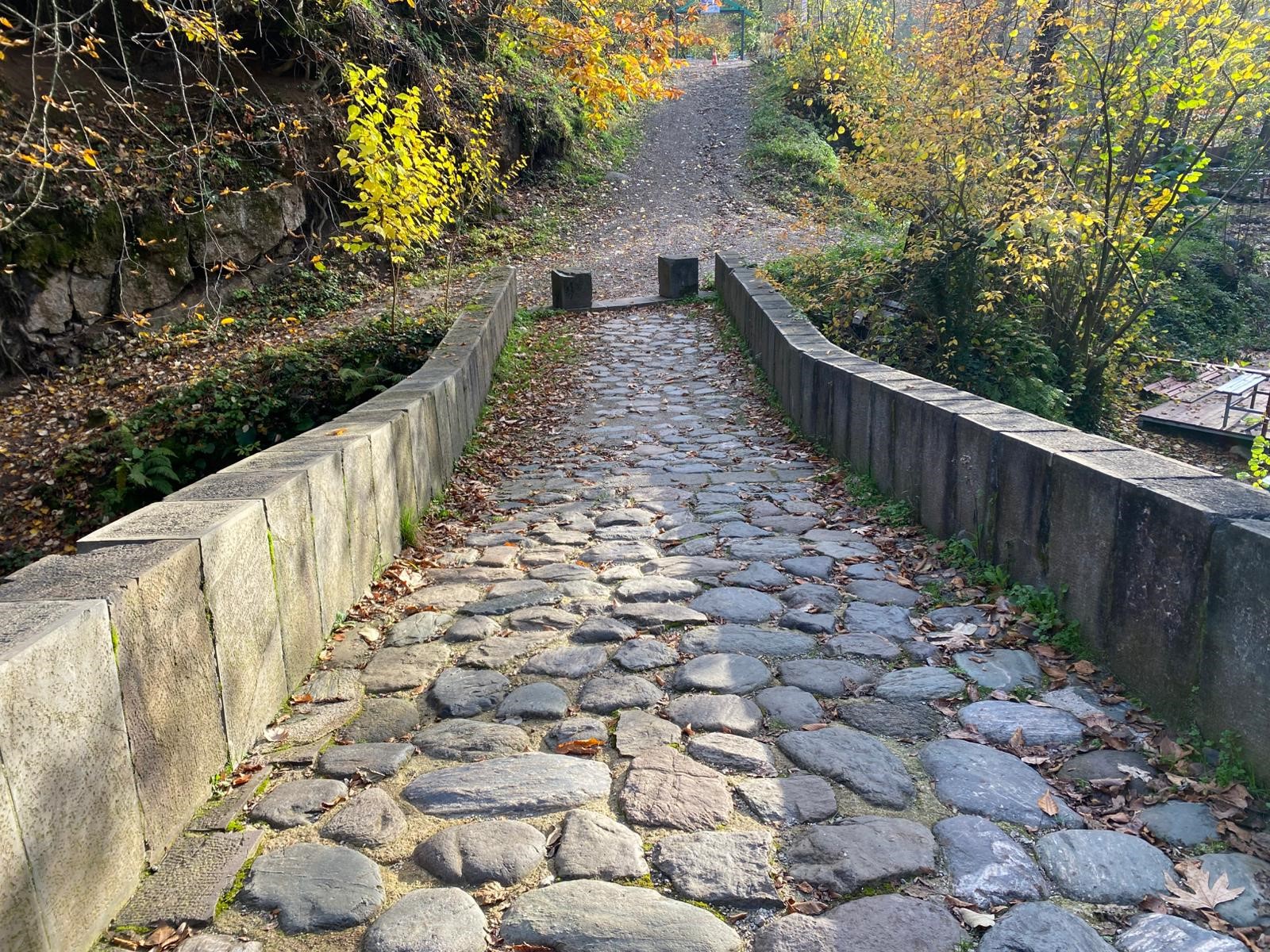 Kocaeli'de Tarihi Servetiye Taş Köprüsü Nerede Milli Mücadeleye Tanık Olan Köprünün Bilinmeyen Hikâyesi 03
