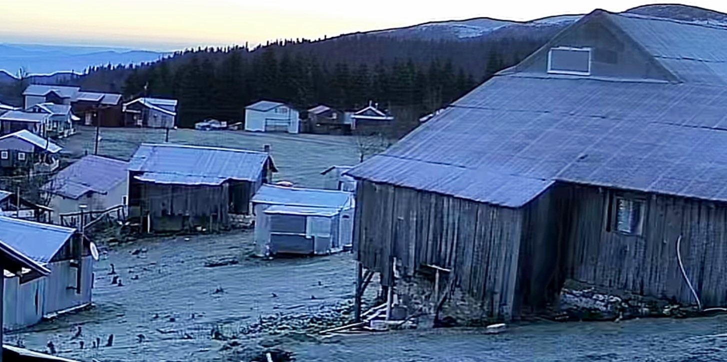 Komşuya Yılın İlk Karı Düştü! 04